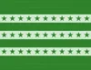 Green Stars and Stripes Laptop Sleeve design — alternating deep forest green horizontal bands and soft mint stripes, each