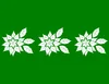 Winter Poinsettia Trio Laptop Sleeve design — three white poinsettia blooms with detailed leaf veining arranged in a row