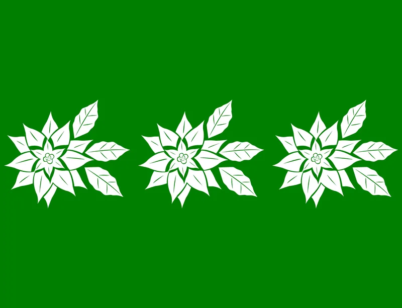 Winter Poinsettia Trio Laptop Sleeve design — three white poinsettia blooms with detailed leaf veining arranged in a row