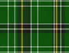 Celtic Green Tartan Laptop Sleeve design — classic woven tartan pattern in deep forest green with intersecting black, white