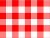 Classic Red Gingham Laptop Sleeve design — large-scale red and white gingham check pattern in a traditional woven textile