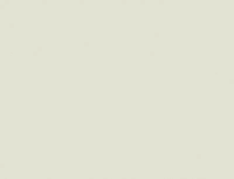 Clean Slate Minimal Laptop Sleeve design — solid warm off-white greige field with no pattern, uniform matte tone blending