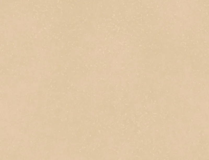 Desert Sand Minimal Laptop Sleeve design — soft beige surface with subtle organic speckled texture in warm sand and cream