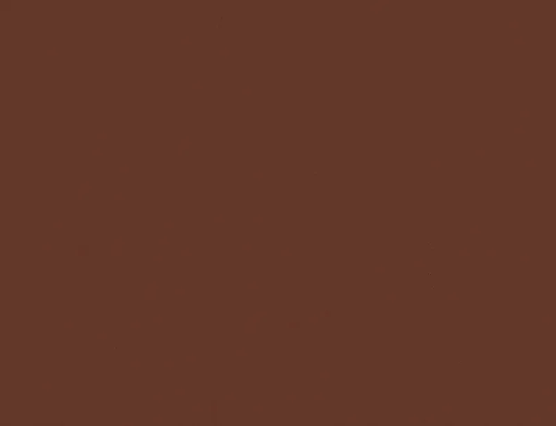 Rich Cognac Solid Laptop Sleeve design — solid deep cognac brown with a smooth, even matte finish and no additional markings