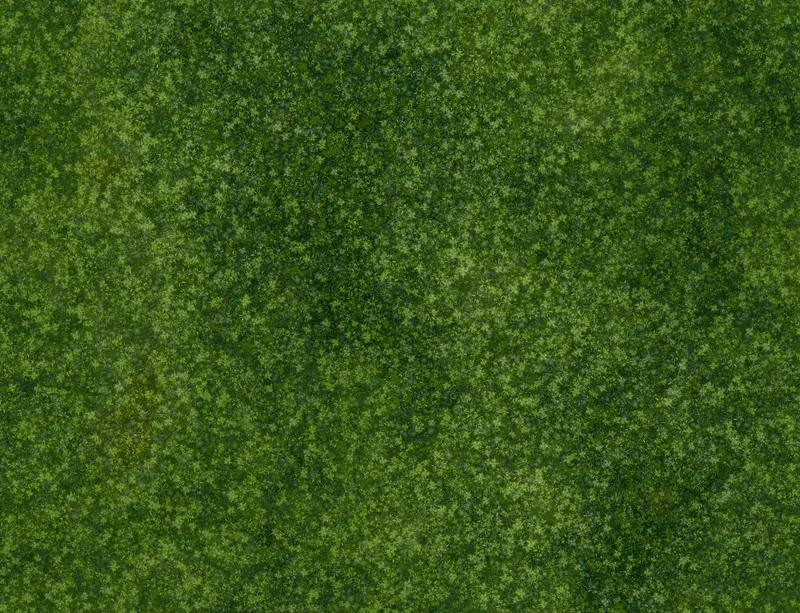 Lush Green Meadow Canopy Laptop Sleeve design — aerial view of a dense green canopy with deep forest and bright lime tones